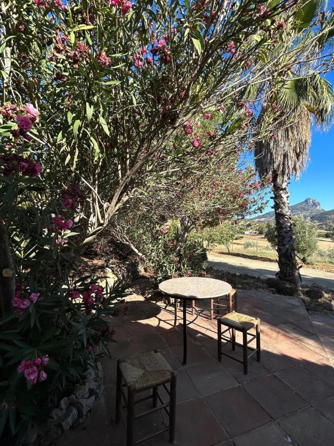 Cortijo Burruelo Chalet