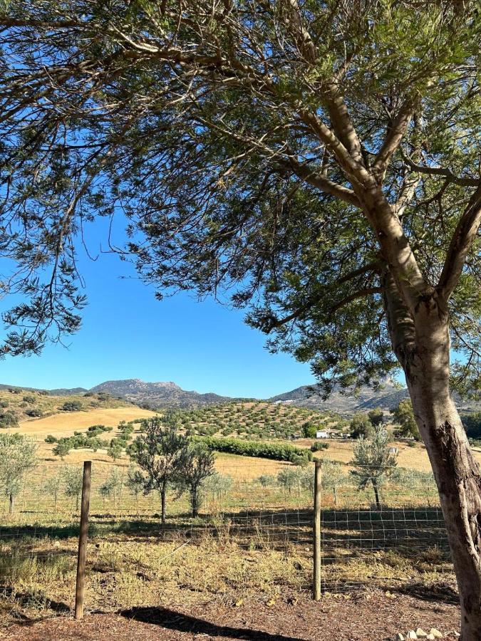 Cortijo Burruelo *